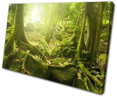 Landscapes Mystical Forest Trees SINGLE CANVAS WALL ART Picture Print VA