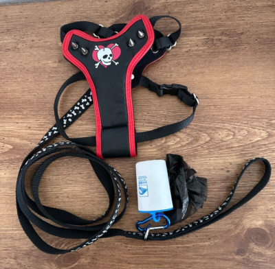 Small Pet Harness Collar And Leash Set,Pull Soft Mesh Adjustable Dog Vest puppy