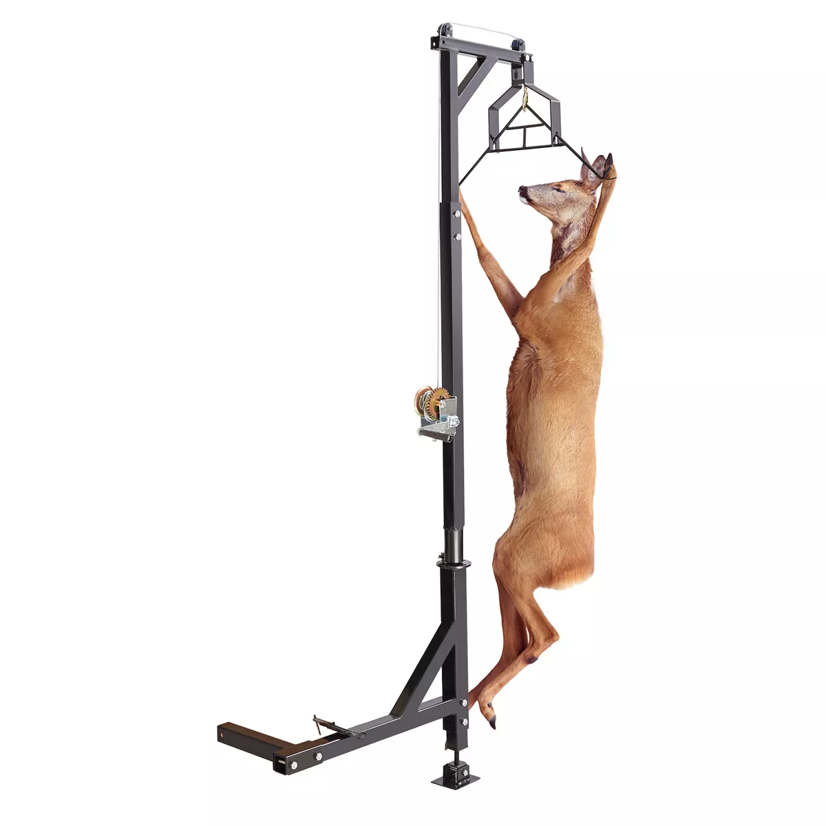 Deer hoist cheap