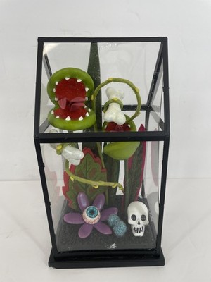 Hyde & Eek! Faux Creepy Plants In Terrarium Halloween Decor Skull Eyeball READ