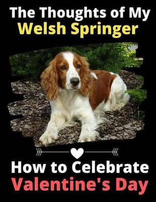 The Thoughts of My Welsh Springer: How to Celebrate Valentine's Day by Brightvie