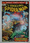 Amazing Spider-Man #132 Marvel 1974 (VF) | MVS Cutout | FREE COMBINED SHIPPING
