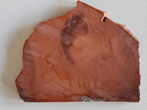 Bruneau Jasper Lapidary Slab 88 Grams - Picture 8 of 8