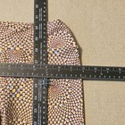 Picture 5 of 6