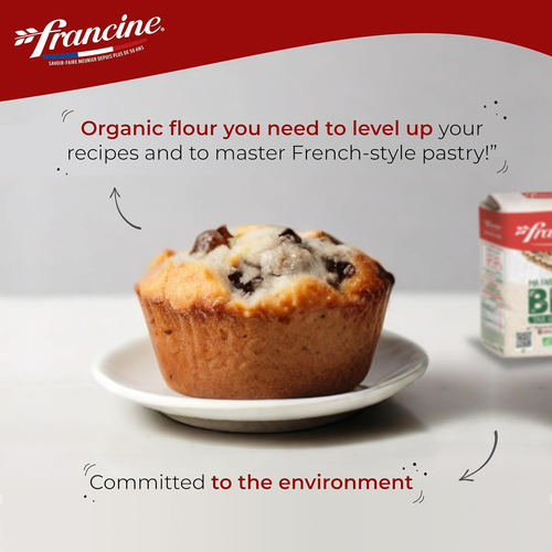 Farine De Ble Bio - French All Purpose Organic Wheat Flour - 2.2 Lbs (Pack of 2) - Picture 3 of 12