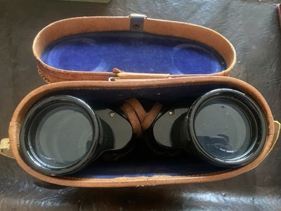 Beautiful Vintage St Moritz Binocular With Case