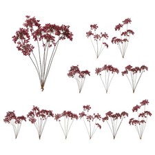 12Pcs Lace Natural Real Pressed Dried Flower for Art Craft DIY Dark Purple 