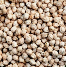 Garbanzo Beans (Chickpeas)