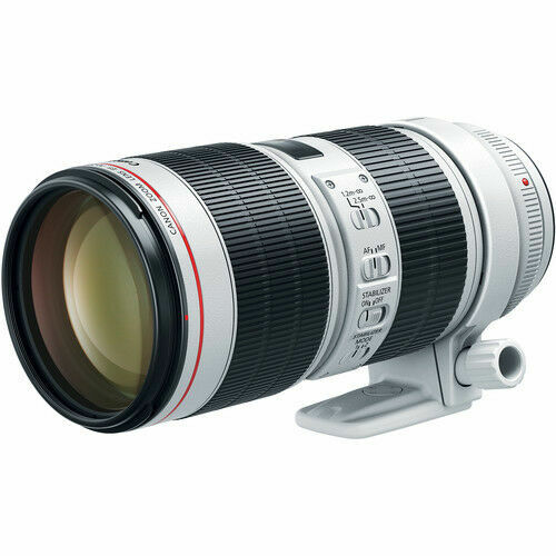 EF 85mm F/1.2L II USM - Obiettivi - Obiettivi Fotografici - Italia - Foto 2