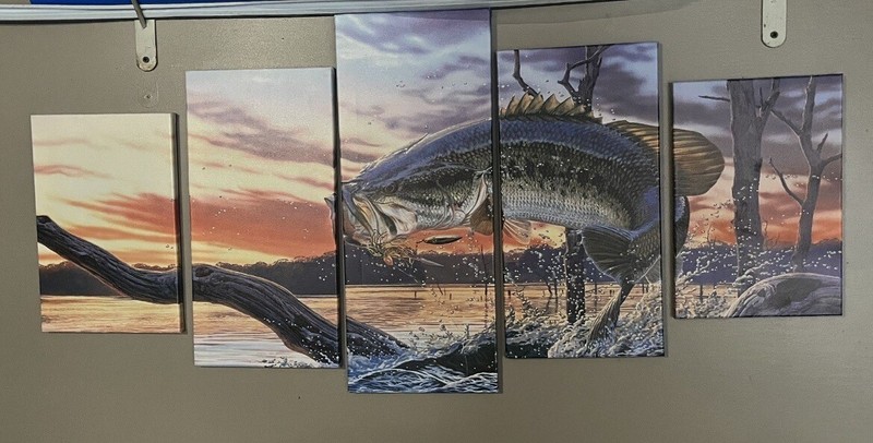 Large Mouth Bass Art 5 Canvas Fishing Art Beautiful Outdoor Fish 🐠