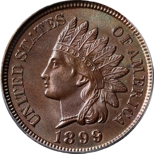 1899 Indian Cent ANACS MS62 BRN Superb Eye Appeal Strong Strike