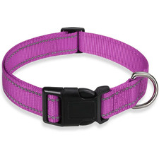 Reflective Dog Collar Strap with Adjustable Safety Nylon Pet Collar Pet Traction