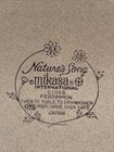 RARE Nature’s Song Mikasa C1058 Persimmon 12” Serving Plate Japan — photo 3