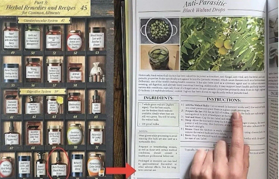 Forgotten Home Apothecary (paperback with color pictures)- A4 Size - Image 4 of 4