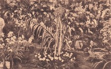 BELGIUM GHENT FLORALIES GHENT 1938