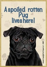 A spoiled rotten Pug blk lives here Wood Fridge Locker Magnet 2.5X3.5 NEW