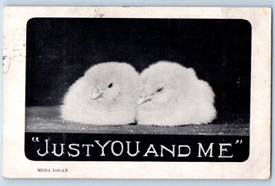 Baby Chicks Postcard Just You And Me Meda Logan Pittsburg Pennsylvania PA 1910