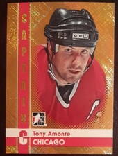 2011 - 2012 ITG Tony Amonte Captain C Gold /50 #93 Hockey Card