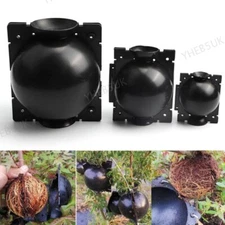 5/8/12cm Plant flower Rooting Ball fruit tree Root Growing Box Grafting case 8H