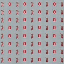 Ohio State University Buckeyes GRAY NCAA Scrapbook Paper 12x12" Sports Solution