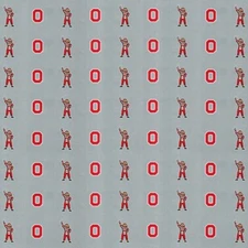 Ohio State University Buckeyes GRAY NCAA Scrapbook Paper 12x12" Sports Solution