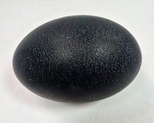 Large Real Emu Egg Blown Empty Natural Dark Green Black Egg Shell Craft Decor