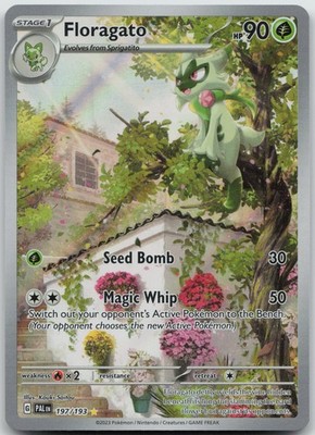 Floragato Illustration Rare SV02: Paldea Evolved 197/193 NM
