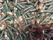 4” CURLY TAIL GRUB, TWISTER TAIL, GRUB, MOTOR OIL  (30)