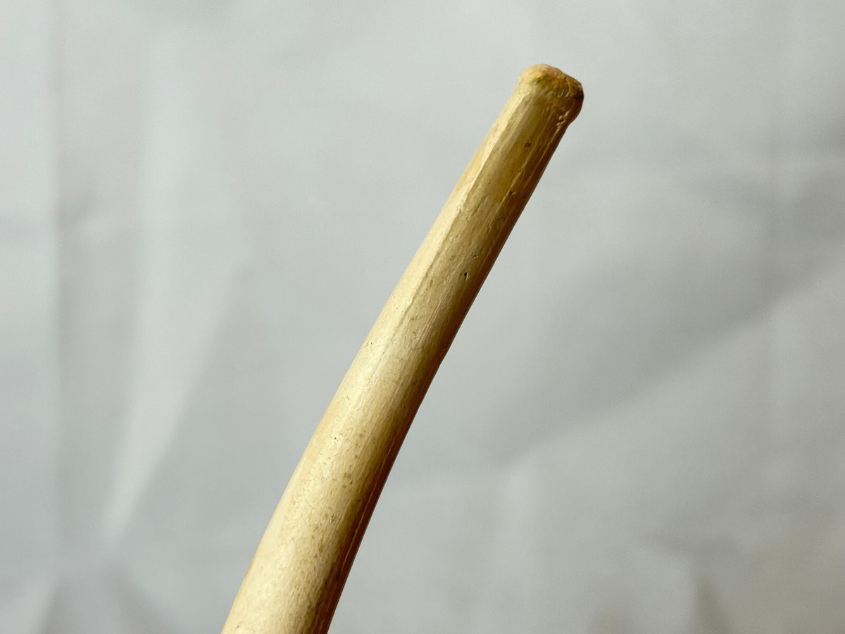 Vtg John Pollock & Co Clay Pipe No 111 OLD CUTTY In Box W/ Burlap