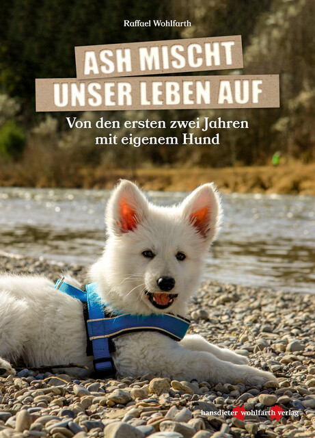 Thumbnail - Ash Mischt Unser Leben Auf Raffael Wohlfarth