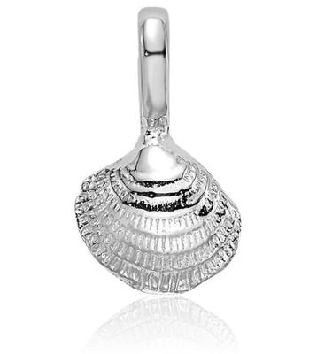 14K massives Weißgold zierliche Muschel Muschel Anhänger Halskette 11,8 mm 1/2 Zoll