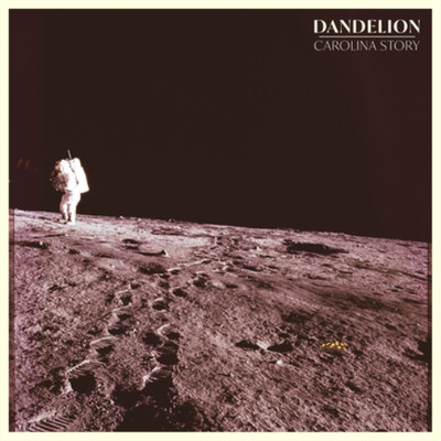 Carolina Story Dandelion (CD) Album (US IMPORT)
