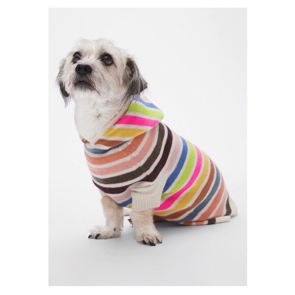 gap dog clothes