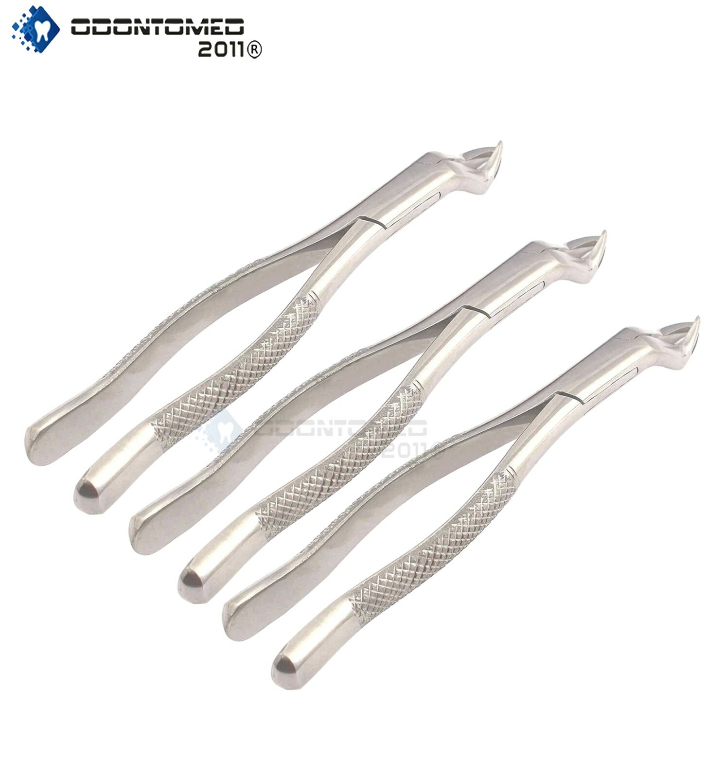 3 Extracting Forceps # 88R Dental Surgical Instruments | eBay