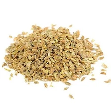 Eva Impex Carrot Seeds – Gajar ke Beej (Daucus Carota)