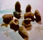 PRICE LOWERED--JUST $18 ....9  CIVIL WAR BULLETS  DUG AT VARIOUS BATTLE SITES