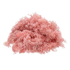 Preserved Reindeer Moss 4 OZ Fake Moss for Crafts Light Pink