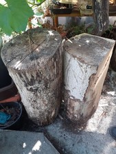 Walnut tree trunk pieces - for wood carving, etc.