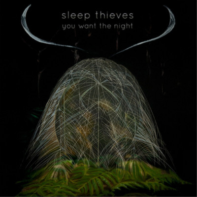 Sleep Thieves You Want the Night (Vinyl) 12'' Album