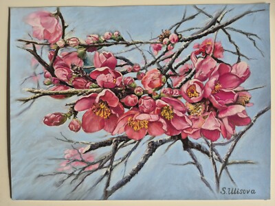 Original rosa rot Sakura weiches Pastellgemälde A3 Größe 30×40 cm Kunstwerk Blume