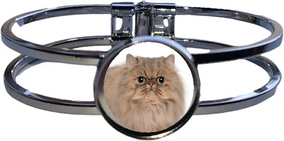 Perserkatze Haustier hochwertiges silberfarbenes Kupferarmband + Samt Geschenktüte