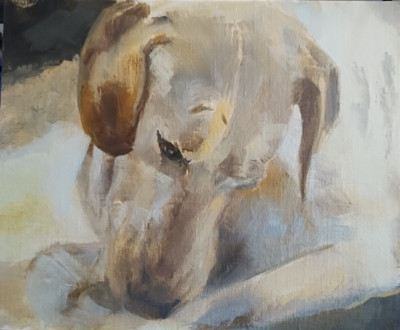 Oil Painting Lab Portrait estate listed Maureen S. Riley MI Sport Dog Hunting #2