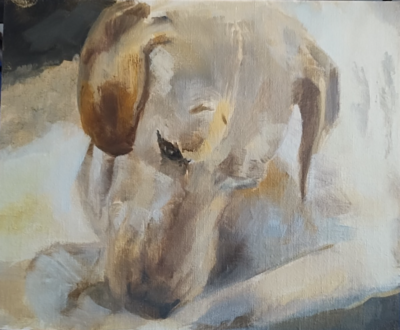 #ad #ad Oil Painting Lab Portrait estate listed Maureen S. Riley MI Sport Dog Hunting #2 $550.00