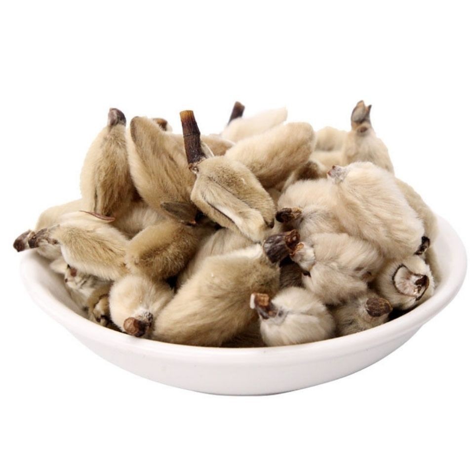 Magnolienblüte, Magnolienblütenknospe, Biond Magnolienblüte, 辛夷花