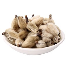 Magnolia Flower, Magnolia Flower Bud, Biond Magnolia Flower, 辛夷花