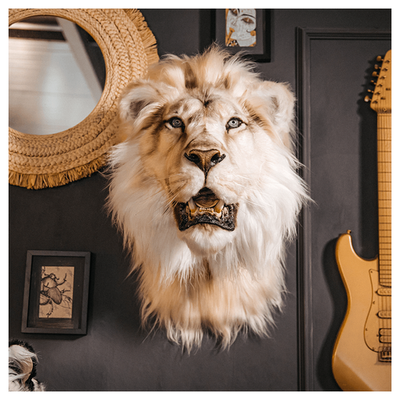 Replica Taxidermy White Lion Wall mount Head Stuffed mount Mammal