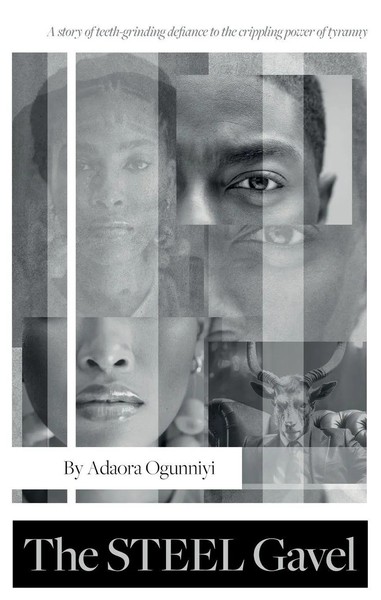 The Steel Gavel Adaora Ogunniyi Taschenbuch Englisch 2023 Ean 9781805141341-image
