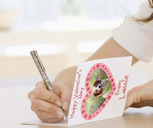 Valentines Day Card Dog Cat Photo Personalised Pet Pets Name and Photo - Picture 4 of 7