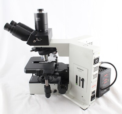 Olympus BX50 Nomarski DIC Darkfield Trinocular Microscope 4 10 20 40 100
