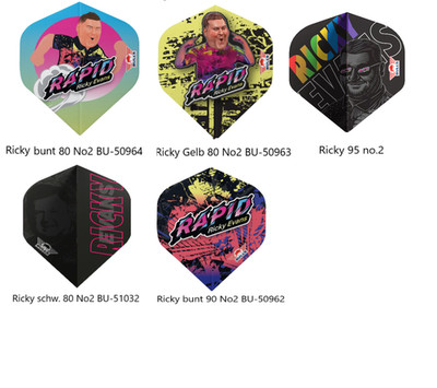 1 Satz, 3st.Flights Bull`s Ricky Evans The Rapid Bulls Flight